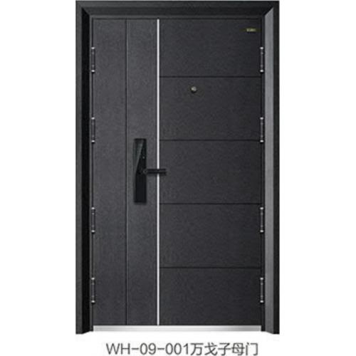 WH-9-001子母防盗门